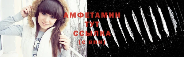 шишки Вязники