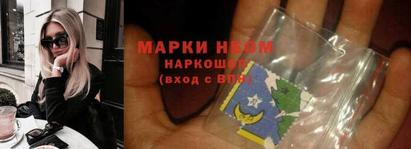 амф Вяземский