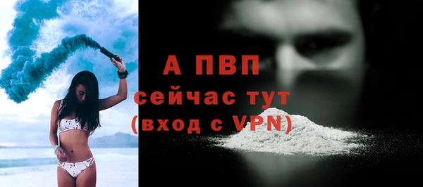 амф Вяземский