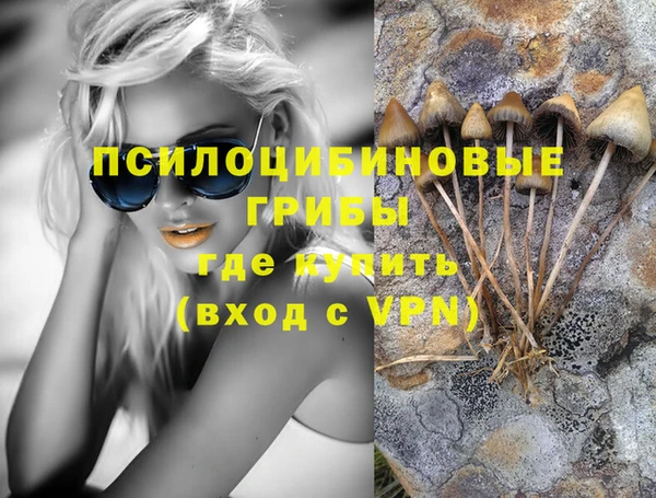 МДМА Горняк