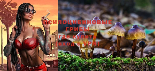 амф Вяземский