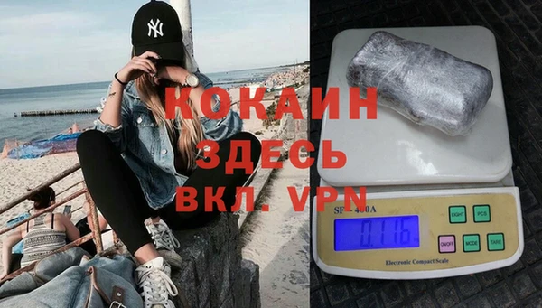 амф Вяземский