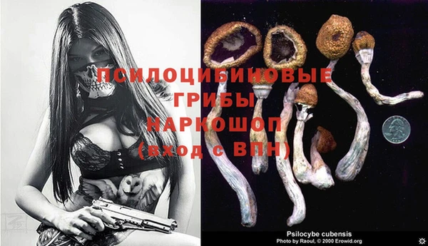 шишки Горнозаводск