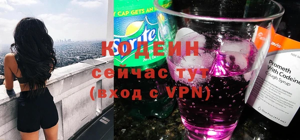 амф Вяземский
