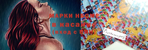 шишки Горнозаводск