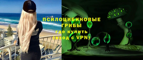 шишки Вязники