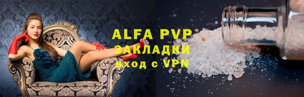амф Вяземский